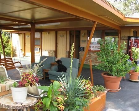 Walnut Forest Motel Остин Екстериор снимка